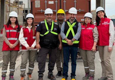 ganfeng lithium salta litio aduana en planta